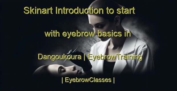 Skinart Introduction to start with eyebrow basics in Dangoukoura | EyebrowTraining | EyebrowClasses | SkinartTraining-Mali